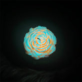 Low temperature candle series - Emberflare (two-color mix)