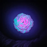 Low temperature candle series - Twilight Mirage (two-color mix)