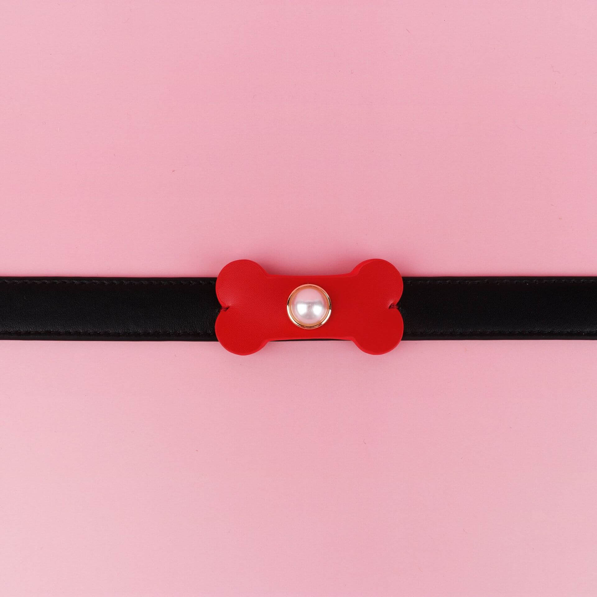 Petal & Paw Rosette