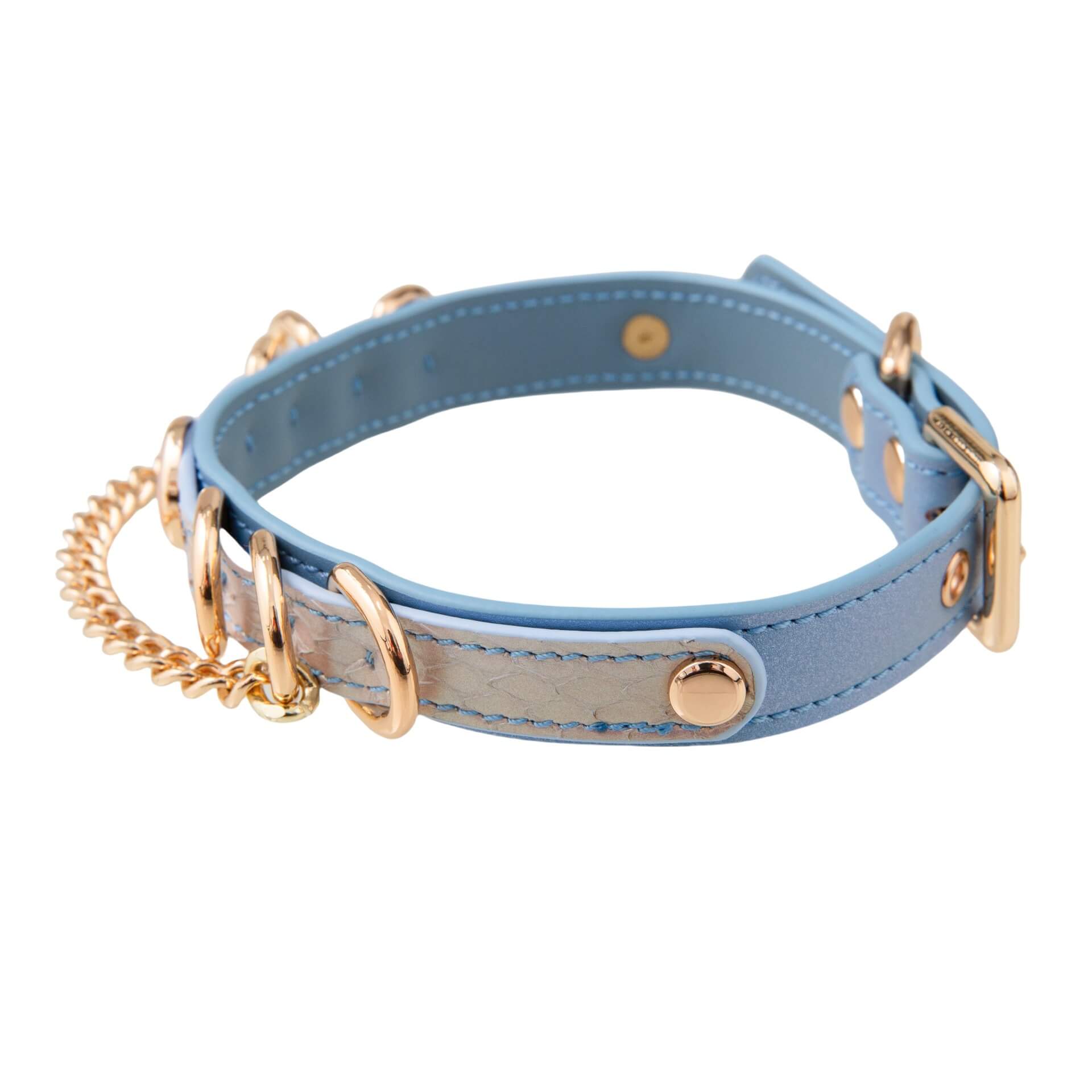 Pixie Promise (Blue and white python)