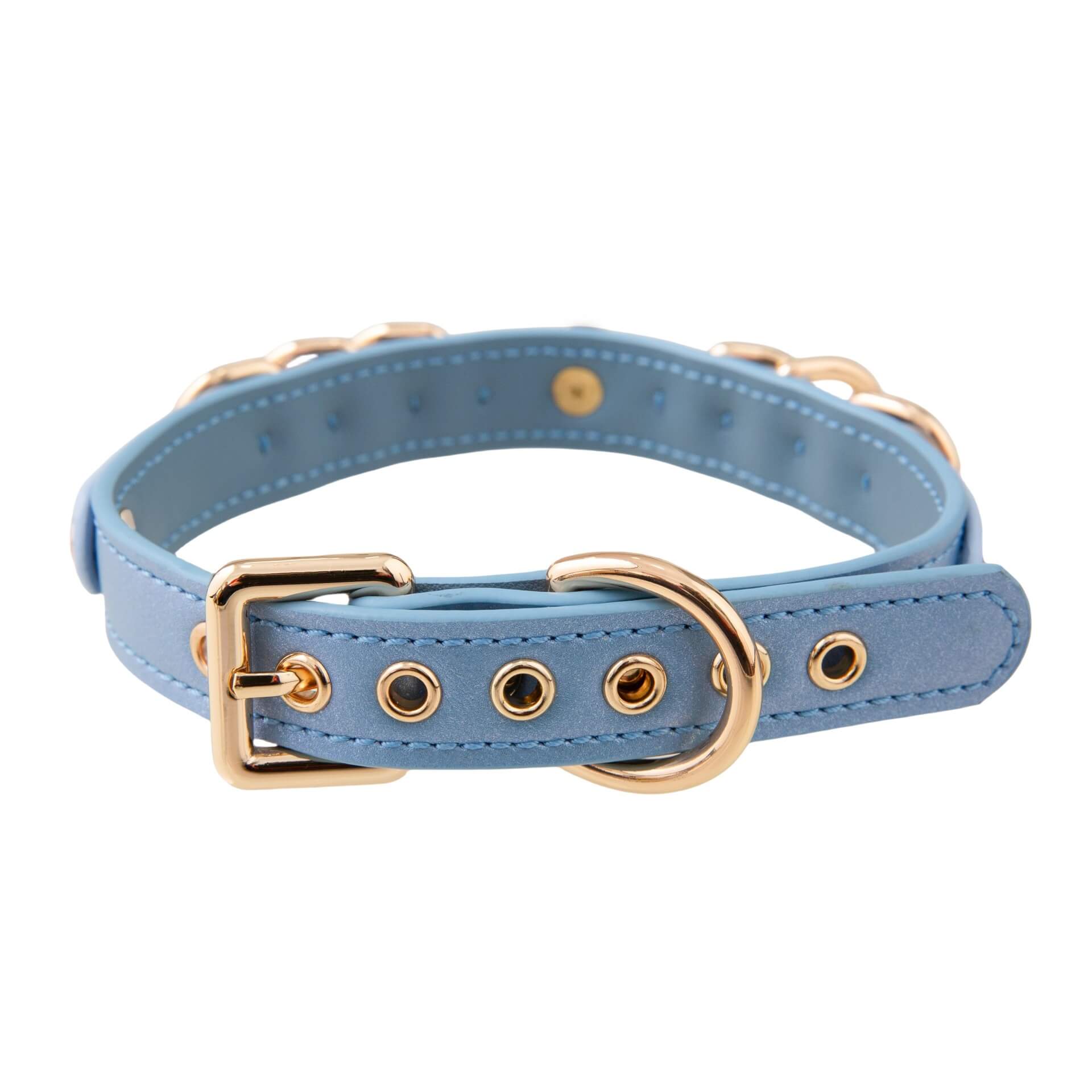Pixie Promise (Blue and white python)