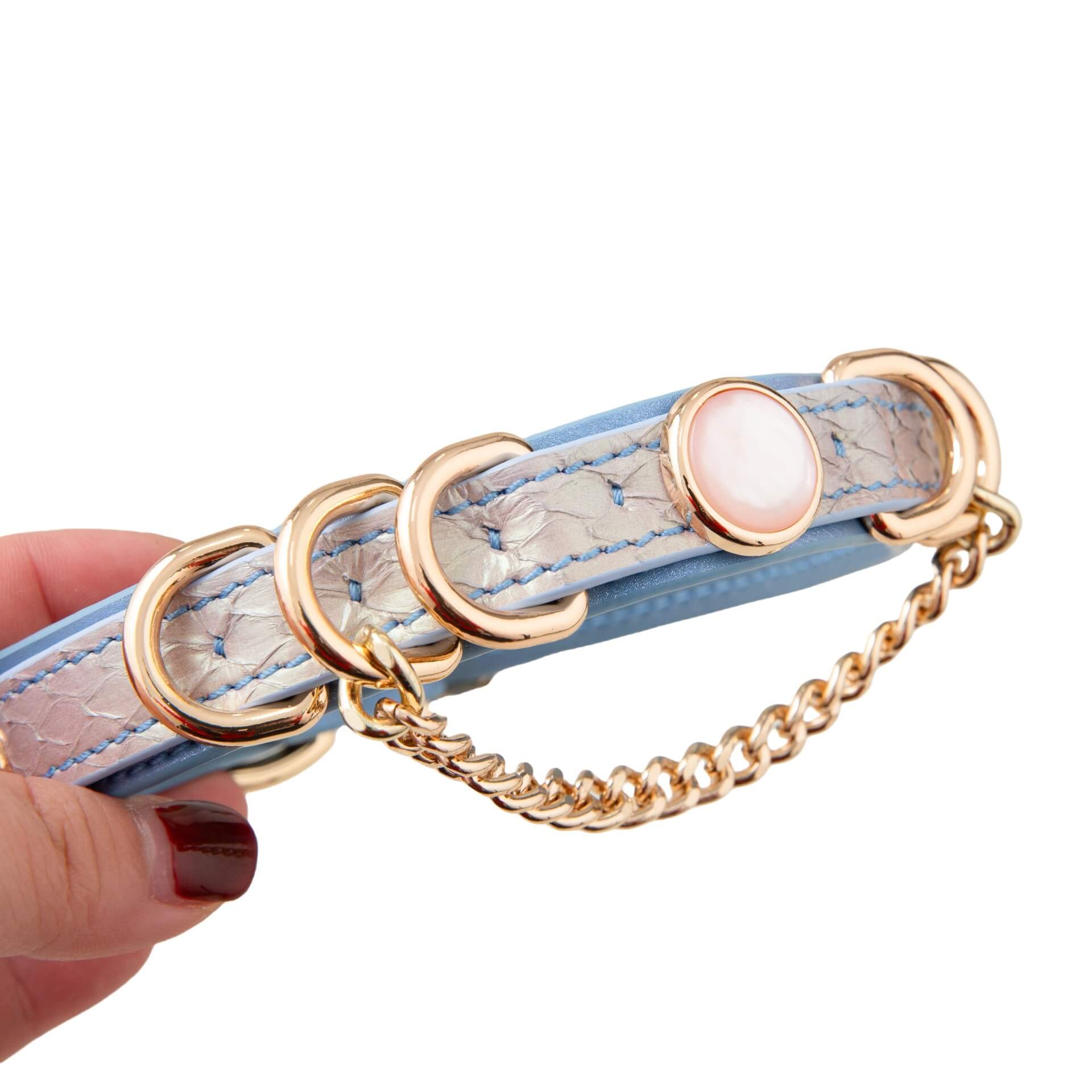 Pixie Promise (Blue and white python)